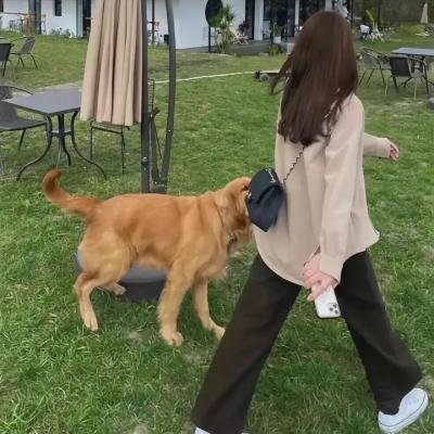 双枪李向阳之再战松井